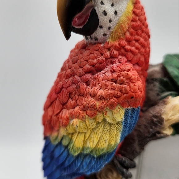 Sonoma Tropical Parrot Picture Frame 4.5x6 outer handpainted stoneware. 3.5 x5 - Picture 3 of 8